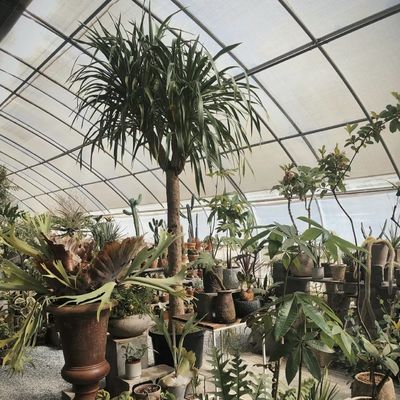Estrutura de aço Sistema de irrigação por gotejamento para plantação de flores com reembolso de 30 dias