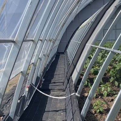 Estrutura de aço Sistema de irrigação por gotejamento para plantação de flores com reembolso de 30 dias