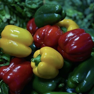 Vegetais Luz solar Hidroponia de estufa Irrigação de espuma Personalização para uso comercial