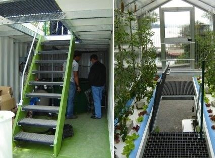 Estufas de frutas verdes Container de transporte de estufa com multi-espansão e forma de telhado em forma