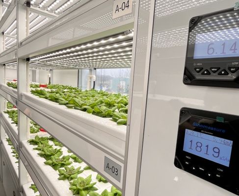 Opção de departamento casa de contêiner de vegetais de folhas com personalização e folha de telhado
