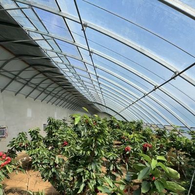 100.000kg Personalização Plantio de flores Irrigação por gotejamento Vegetais Luz solar Estufas
