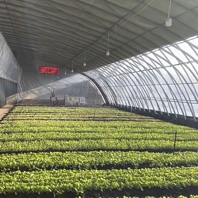 Otimizar o crescimento com luz solar e irrigação por pulverização