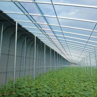 Otimizar o crescimento com luz solar e irrigação por pulverização