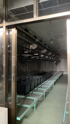 Controle de temperatura inteligente Juxiang Vegetais de Folha Container Método de aquecimento da casa