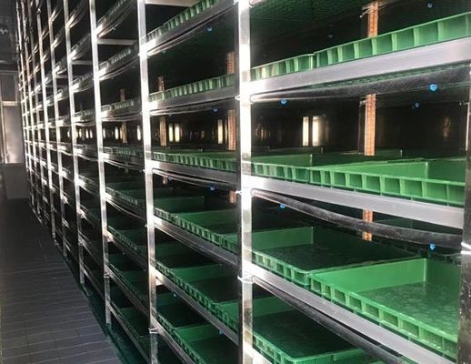 Controle de temperatura inteligente Juxiang Vegetais de Folha Container Método de aquecimento da casa