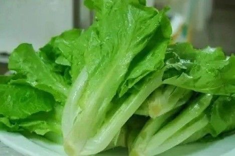 Casa de contêineres para o cultivo de vegetais folhosos Hidroponia Tecnologia de cultivo
