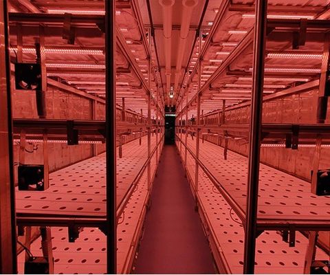 Casa de contêineres para o cultivo de vegetais folhosos Hidroponia Tecnologia de cultivo