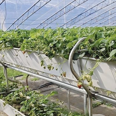 Flor de folha de plástico Luz solar Serra de irrigação por gotejamento para irrigação consistente