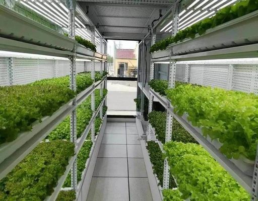 Sistema de iluminação para a agricultura de contentores com tempo de entrega estimado e baixo custo de transporte
