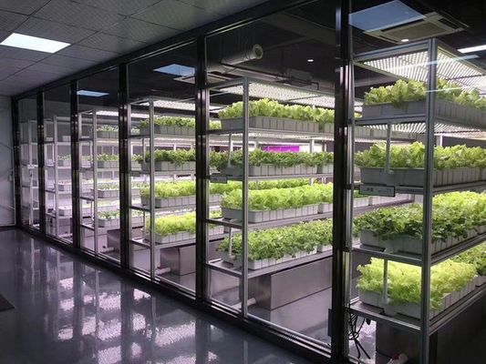 Sistema de iluminação para a agricultura de contentores com tempo de entrega estimado e baixo custo de transporte