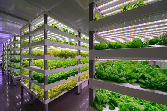 Sistema de iluminação para a agricultura de contentores com tempo de entrega estimado e baixo custo de transporte