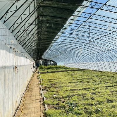 Pagamento completo Hidroponia de uma única camada Flor Estufa de luz solar para o seu pagamento inicial