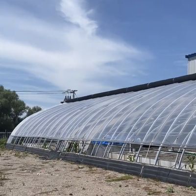 Arco de telhado Estufas de luz solar para sementeira de vegetais US 20/m2