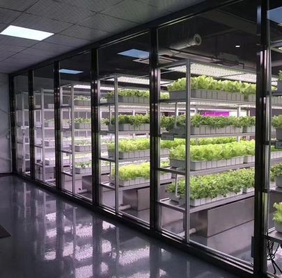 Serviço de transporte de contêineres Solução de iluminação LED de estufa para plantação de vegetais