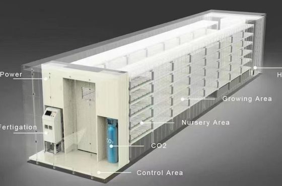 Serviço de transporte de contêineres Solução de iluminação LED de estufa para plantação de vegetais