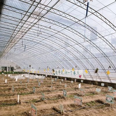 Plantação de flores Estufas com estrutura de aço de duas ou uma camada