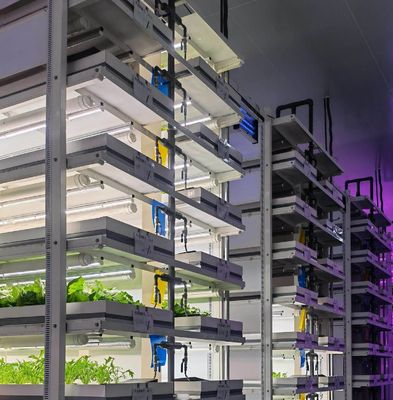 Sistema de contêiner de cultivo hidropónico vertical de estufa em recipiente 40FT 40HQ Reefer