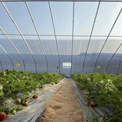 Plantação de flores Estufas com estrutura de aço de duas ou uma camada