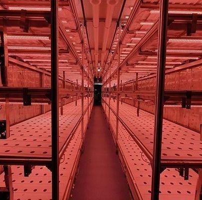Material de cobertura de aço Sistema de contêineres hidropónicos verticais de cultivo para telhados em forma