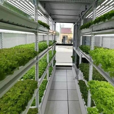 Material de cobertura de aço Sistema de contêineres hidropónicos verticais de cultivo para telhados em forma