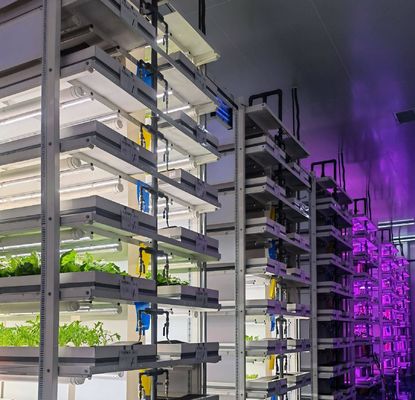 Material de cobertura de aço Sistema de contêineres hidropónicos verticais de cultivo para telhados em forma