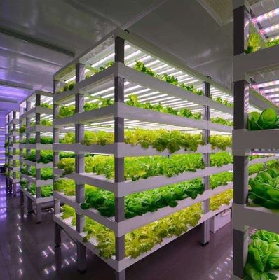 Material de cobertura de aço Sistema de contêineres hidropónicos verticais de cultivo para telhados em forma
