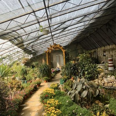 Luz solar e irrigação automatizada para aquaponia em estufas de plástico