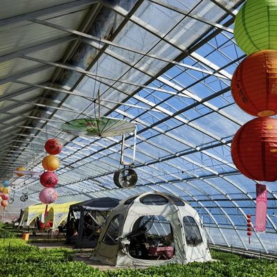 Moeda dos EUA Sistema de estufa de luz solar vegetal de camada dupla ou única dentro do orçamento