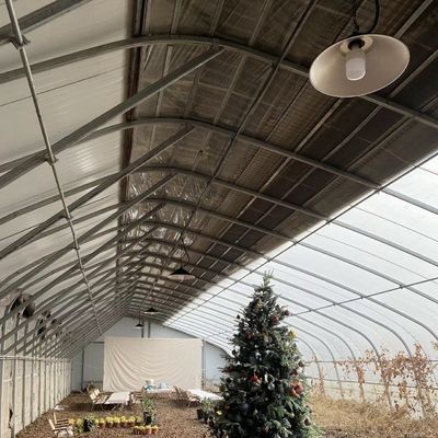 Moeda dos EUA Sistema de estufa de luz solar vegetal de camada dupla ou única dentro do orçamento