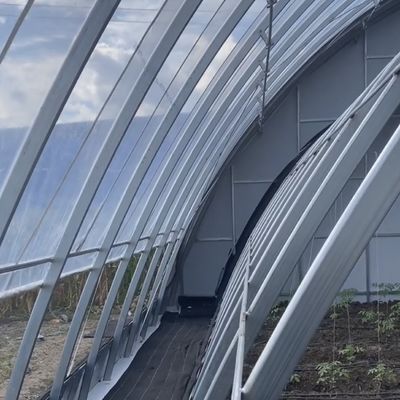 Moeda dos EUA Sistema de estufa de luz solar vegetal de camada dupla ou única dentro do orçamento