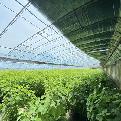 Plantio de flores Sistema de irrigação por gotejamento Estufas de sol com pedido personalizado