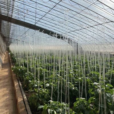 Plantio de flores Sistema de irrigação por gotejamento Estufas de sol com pedido personalizado