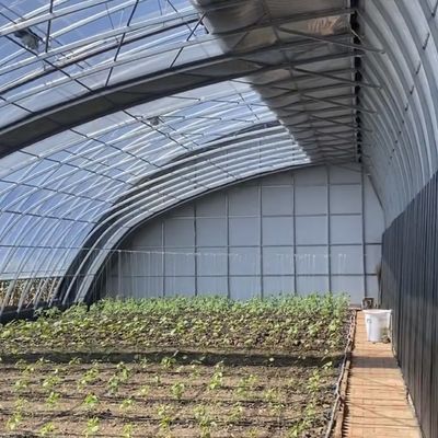 Plantio de flores Sistema de irrigação por gotejamento Estufas de sol com pedido personalizado