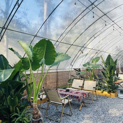 Plantio de flores Sistema de irrigação por gotejamento Estufas de sol com pedido personalizado