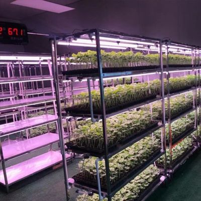 Folha de telhado de estufa para vegetais Custos de envio e prazo de entrega estimado
