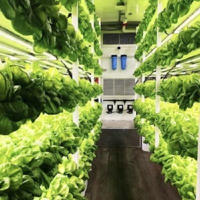 Método de cultivo hidropônico Recipiente de recifes Estufas de vegetais com materiais