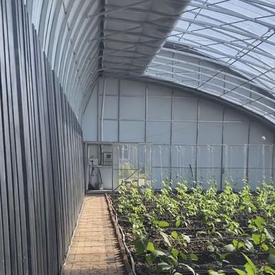 Irrigação de sementes de semente de sol Estufas US 20 / metro quadrado com personalização