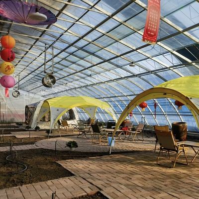 Irrigação de sementes de semente de sol Estufas US 20 / metro quadrado com personalização