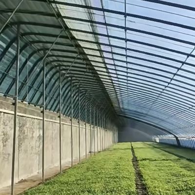Sistema de cultivo hidropônico aquapônico multi-span para moeda dos EUA em estufa solar