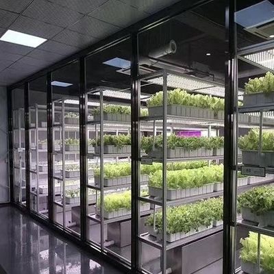 Estufas de contêineres para o cultivo de vegetais de folhas Pagamento inicial e transporte a preços acessíveis