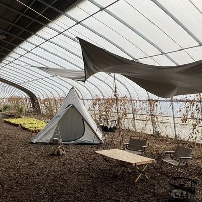 Sistema de cultivo hidropônico aquapônico multi-span para moeda dos EUA em estufa solar