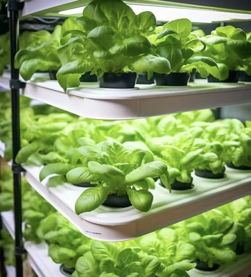 Estufas de controle de temperatura inteligente para cultivo sem solo JX-A0096