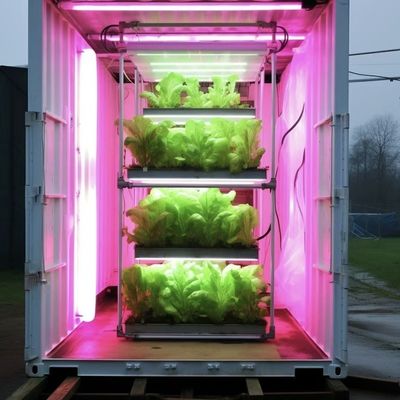 Estufas de controle de temperatura inteligente para cultivo sem solo JX-A0096