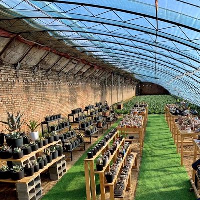 Pacote de Plantação de Flores de Estufa de Luz Solar para Origem Tamanho 50,00cm * 60,00cm * 50,00cm