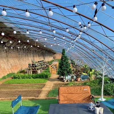 Pacote de Plantação de Flores de Estufa de Luz Solar para Origem Tamanho 50,00cm * 60,00cm * 50,00cm
