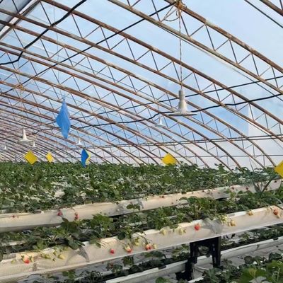 Custo de envio e prazo de entrega estimado para estufas hidropónicas comerciais