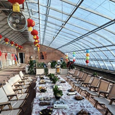 US 20/m2 Hidroponia Estufa solar para vegetais Flor de morango