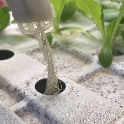 Folha de telhado de estufa para recipientes de vegetais de folhas JX-A00103 Adequada para vegetais de folhas