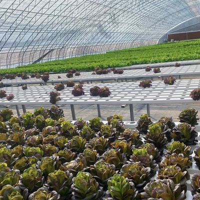 Pacote Peso Bruto 100.000kg Luz solar Hidrogravuração por gotejamento em estufa para plantação de flores